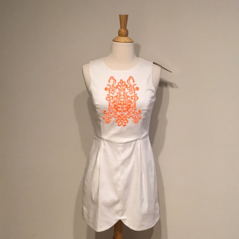 Francesca’s Collection Ivory Dress w/Embroidery